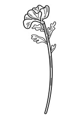Mallow flower sketch. Blooming bud on stem. Hand drawn line art illustration.