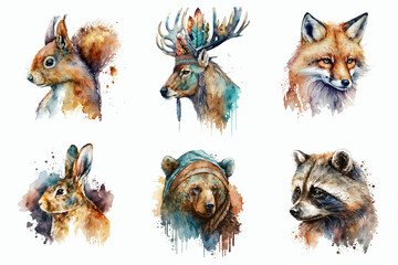 Safari Animal set squirrel, deer, fox, bear, raccoon and hare in watercolor style. Isolated vector illustration