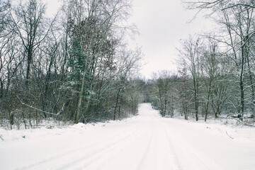 Winter road in the Forest -  Winter in the Woods - Snow - Cold - Background - Wood - Nature - Landscape 