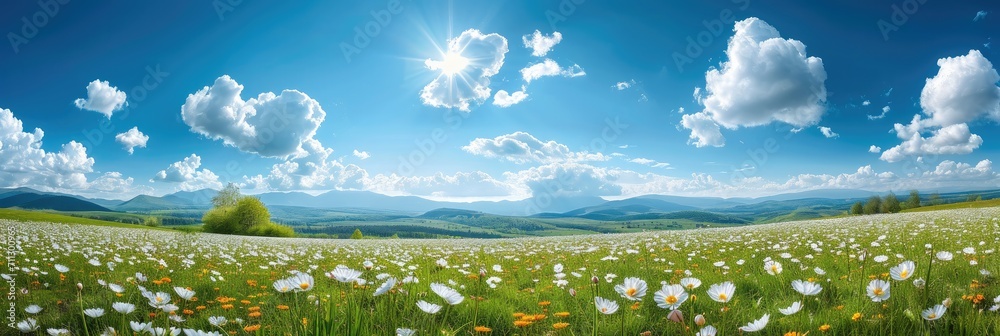 Poster wide panorama of a meadow with spring flowers. generative ai.