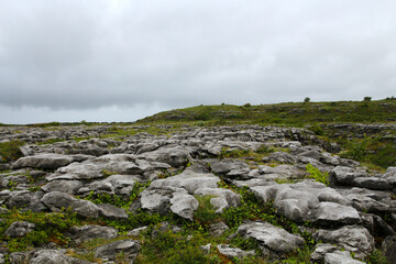 The Burren is a karst landscape in northwest County Clare, Ireland