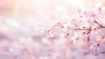 Foto auf Acrylglas bloom spring flower background illustration blossom garden, floral colorful, fresh petal bloom spring flower background © vectorwin