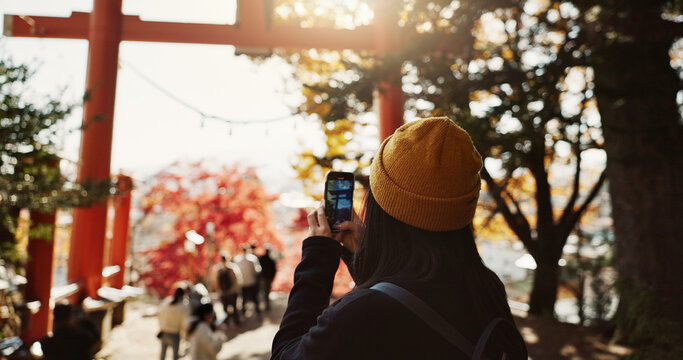 Phone, travel and Japanese woman in nature for holiday, vacation and adventure in Japan. Happy, forest and person take picture on smartphone by trees for social media post, memories and online blog