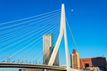 Foto auf Acrylglas Erasmusbrücke view of the Erasmus Bridge, Rotterdam, Holland, Netherlands