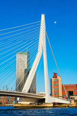view of the Erasmus Bridge, Rotterdam, Holland, Netherlands