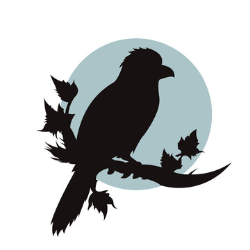 Bird Silhouette Logo Design on Tree Branch