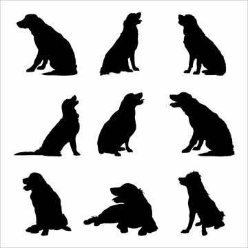 Collection of silhouettes of a dog