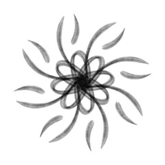 black and white flower brush on transparent background