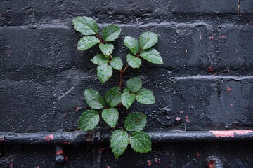 The beautiful green of nature in cities professional photography