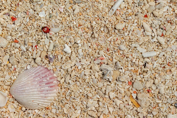 beach white sand texture background