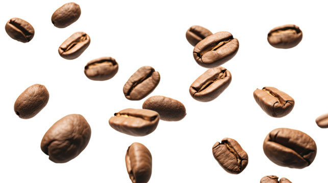 coffee bean brown roasted caffeine espresso seed flying  or falling down. PNG, cutout, or clipping path.	
