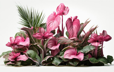 Cluster of Pink Flowers Arranged Together in a Vibrant Display