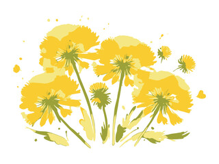 illustration of a bouquet of yellow dandelions on a white background, greeting card