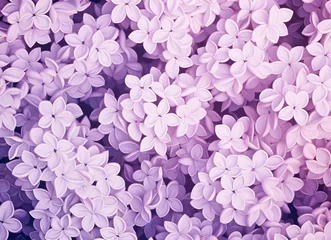 Foto op Aluminium purple and white lilac floral pattern as a background © ArtCookStudio