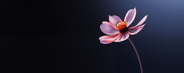 Single pink flower on dark blue background, minimalist design, panoramic view, generated by AI