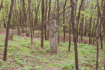Ancient gravestones in an abandoned cemetery on the Trakhtemyriv Peninsula. Ukraine