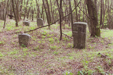 Ancient gravestones in an abandoned cemetery on the Trakhtemyriv Peninsula. Ukraine