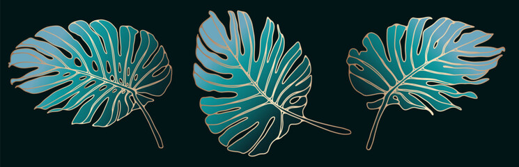A set of three green monstera leaves with a golden outline on a dark background. Tropical plants for creating various designs and patterns.