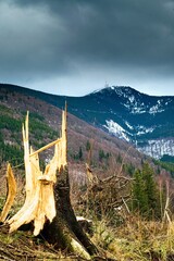 Few shots of mountains in winter, Beskydy