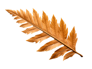 golden autumn leaves