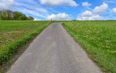 Fototapeta na wymiar Paved road up a hill between agricultural fields in the rural countryside with blue sky and clouds