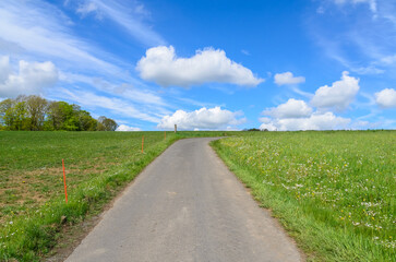 Paved road up a hill between agricultural fields in the rural countryside with blue sky and clouds