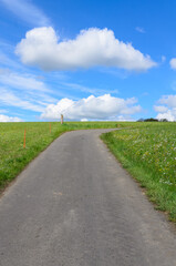 Obraz premium Paved road up a hill between agricultural fields in the rural countryside with blue sky and clouds