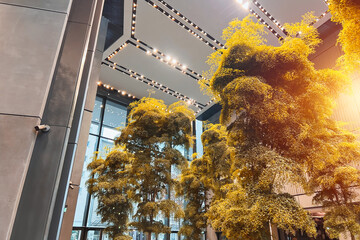 Nature meets urban in a modern lobby interior with a tree. The office building or hotel has a green...