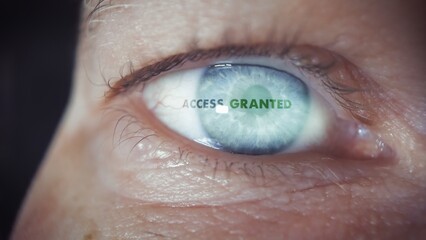 Access Successfully Granted During An Iris Eye Scan. Close-up