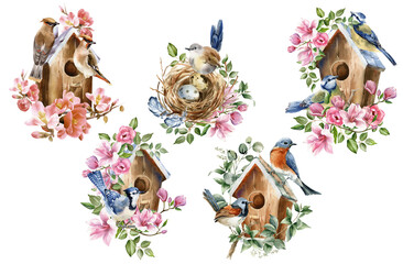Floral birds. Watercolor birdhouse illustration. Spring design. Transparent background PNG