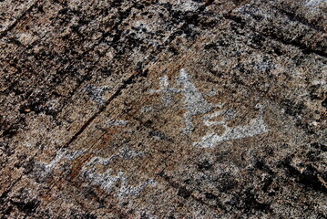 Cave paintings of ancient people, petroglyphs. Archaeological site, Zalavruga, Republic of Karelia. Russia.