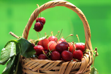 Fototapeta na wymiar A Basket of Cherries