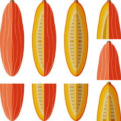 Set of Pink Jumbo Banana Squash Pumpkin Winter squash. Cucurbita maxima. Fruits and vegetables. Flat style. Isolated vector illustration.