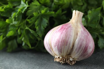 Fresh raw garlic and parsley on grey table, closeup. Space for text
