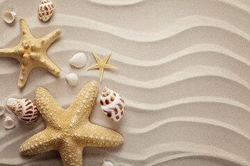 Fototapeta na wymiar seashells on sand beach