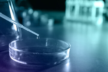 Dripping reagent into Petri dish on table, closeup. Color toned