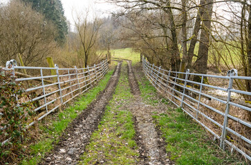 Agricultural metal fence barrier around a field in the rural countryside and muddy road pathway with tire tacks