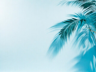 Fototapeta na wymiar Palm leaves on a light bluegreen background toned template for text panorama with copy space