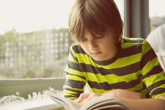 Boy Reading Book
