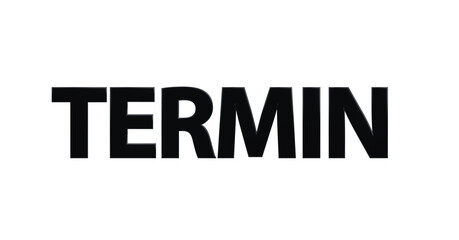 Termin - schwarze plakative 3D-Schrift, Treffen, Meeting, Buchung, Arzttermin, Zeitslot, Planung, Online, Freisteller, Rendering
