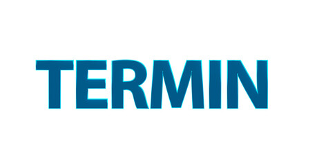 Termin - türkise plakative 3D-Schrift, Treffen, Meeting, Buchung, Arzttermin, Zeitslot, Planung, Online, Freisteller, Rendering
