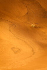 Fototapeta na wymiar Colorful desert dunes with beautiful background in Sahara, Merzouga, Morocco