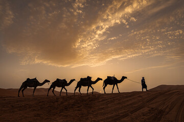Fototapeta na wymiar Silhouette of camel caravan with beautiful clouds in background in Sahara, Merzouga, Morocco