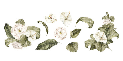 Watercolor floral bouquet. Hand painted tropical green leaves, white flowers, orchid. Isolated on white background. Botanical illustration for design, print, social media