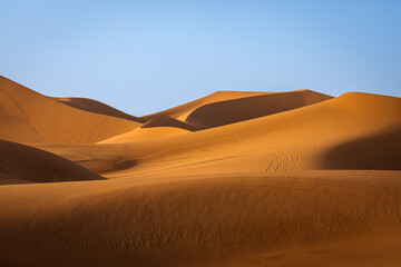 Fototapeta na wymiar Colorful desert dunes with beautiful background in Sahara, Merzouga, Morocco