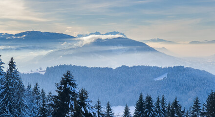 tranquil snowy winter landscape in the Bregenz forest Mountains, Vorarlberg, Austria