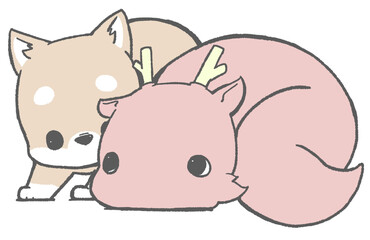 見つめあう柴犬と辰