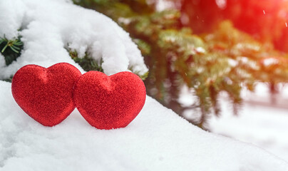 Fototapeta premium Symbol of love hangs on snow-covered spruce 
