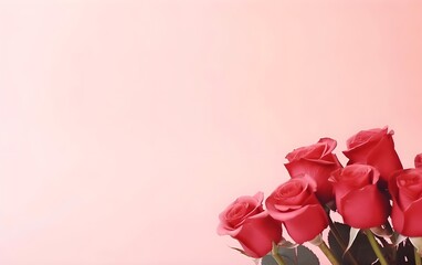 Red roses on pink background with copy space for valentines day