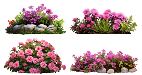 Set of garden flowers, cut out